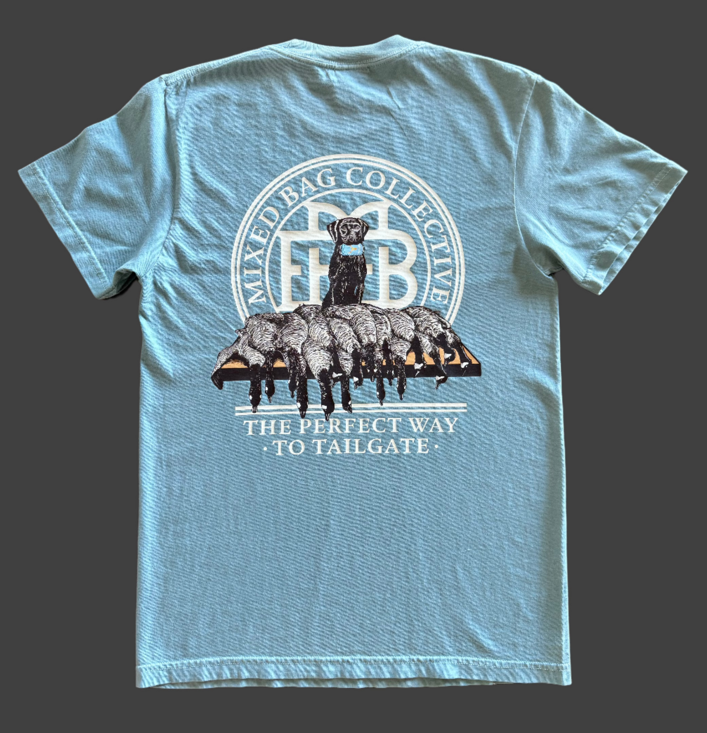 "The Perfect way to Tailgate" t-shirt